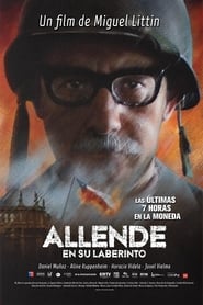 Allende en su laberinto Online Streaming Movies