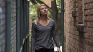 Imagen Homeland 7x3