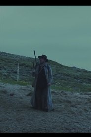 Lightcatcher (2017) Lightcatcher (2017)