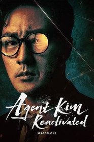 Agent Kim Reactivated Season 1