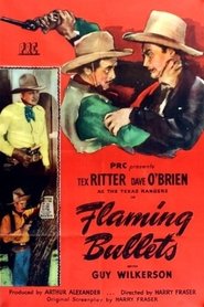 poster do Flaming Bullets