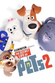 Images posters
