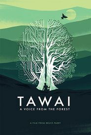 Watch Tawai: A voice from the forest (2017)