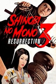 Shinobi no Mono 3: Resurrection se film streaming