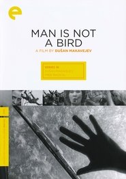 Man Is Not a Bird affisch