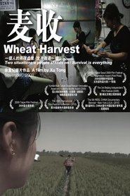 Wheat Harvest (2008) Wheat Harvest (2008)