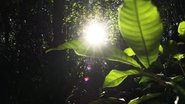DocumentÃ¡rio Brasil TupinambÃ¡