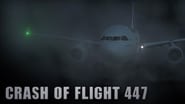 Crash of Flight 447