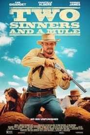 مشاهدة فيلم Two Sinners and a Mule 2023 مترجم