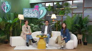 Episode 29