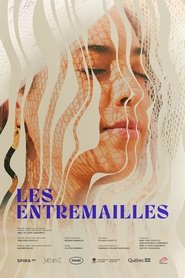 Les Entremailles (2022) Les Entremailles (2022)