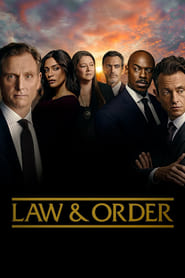Law & Order Season 19