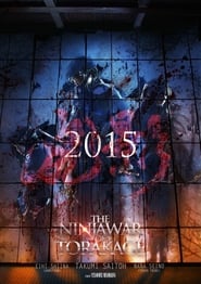 image de Ninja Torakage affiche