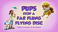 Pups Save a Far Flung Flying Disc