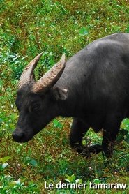 Le dernier tamaraw (2019) Le dernier tamaraw (2019)
