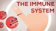 The Immune System Explained I — Bacteria Infection
