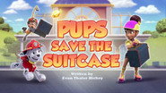 Pups Save the Suitcase