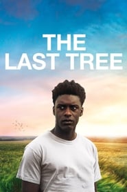 Imagem The Last Tree