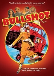 Photo de Bullshot affiche