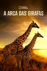 Image A Arca das Girafas