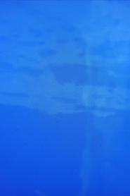 Imitation of Waves - Guy's Visions (2025) Imitation of Waves - Guy's Visions (2025)