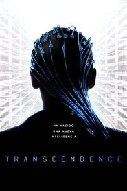 Image Transcendence (2014)