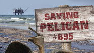 Saving Pelican 895