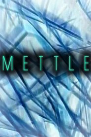 Mettle (2007) Mettle (2007)