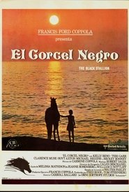 The Black Stallion / El Corcel Negro