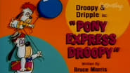 Pony Express Droopy