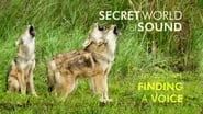 Secret World of Sound: Finding a Voice