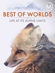Best of Worlds: Life at its Alpine Limits (2014) Best of Worlds: Life at its Alpine Limits (2014)