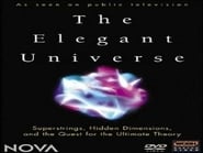 The Elegant Universe: Einstein's Dream (1)