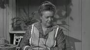 Aunt Bee's Brief Encounter