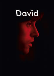 David imagem