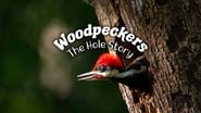 Woodpeckers: The Hole Story