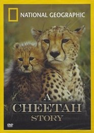 Cheetah Story (1999) Cheetah Story (1999)