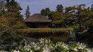 AIZU: Garden of Healing