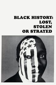 Black History: Lost, Stolen or Strayed