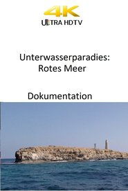 Unterwasserparadies: Rotes Meer