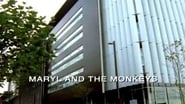 Maryl and the Monkeys
