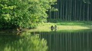 è±ããããªã»