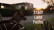 Stadt, Land, Fuchs!