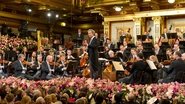 Neujahrskonzert der Wiener Philharmoniker 2013