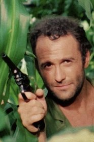 Hollow Jungle (2019) Hollow Jungle (2019)
