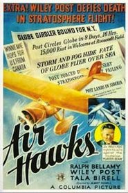 Photo de Air Hawks affiche