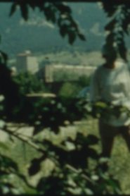 Confession (1986) Confession (1986)