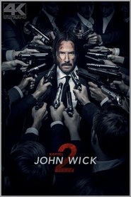 John Wick: Kapitel 2) John Wick: Kapitel 2 (2017)