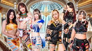 Stardom in Toyama 2024 Oct.