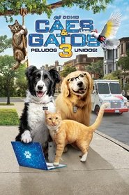Images posters